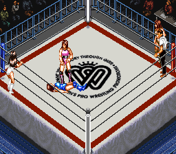 Super Fire Pro Wrestling - Queen's Special (Japan) In game screenshot